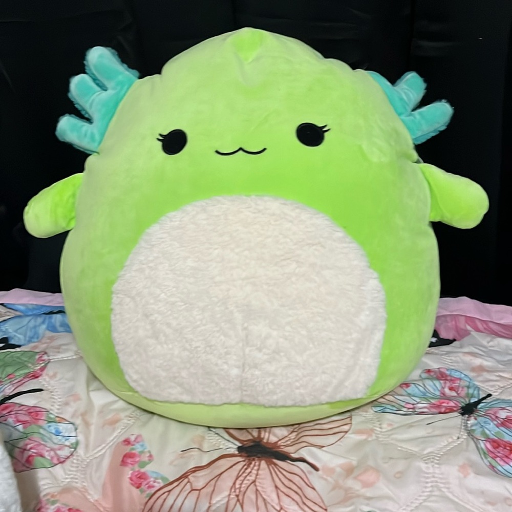 squishmallow with tag